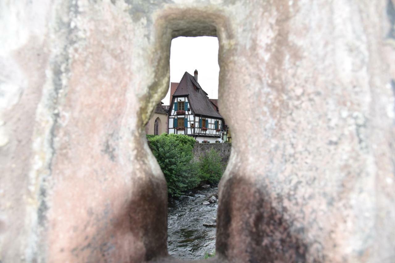 Le Cerisier Villa Kaysersberg-Vignoble Dış mekan fotoğraf