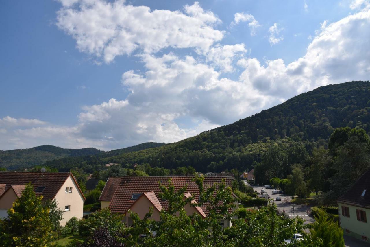 Le Cerisier Villa Kaysersberg-Vignoble Dış mekan fotoğraf