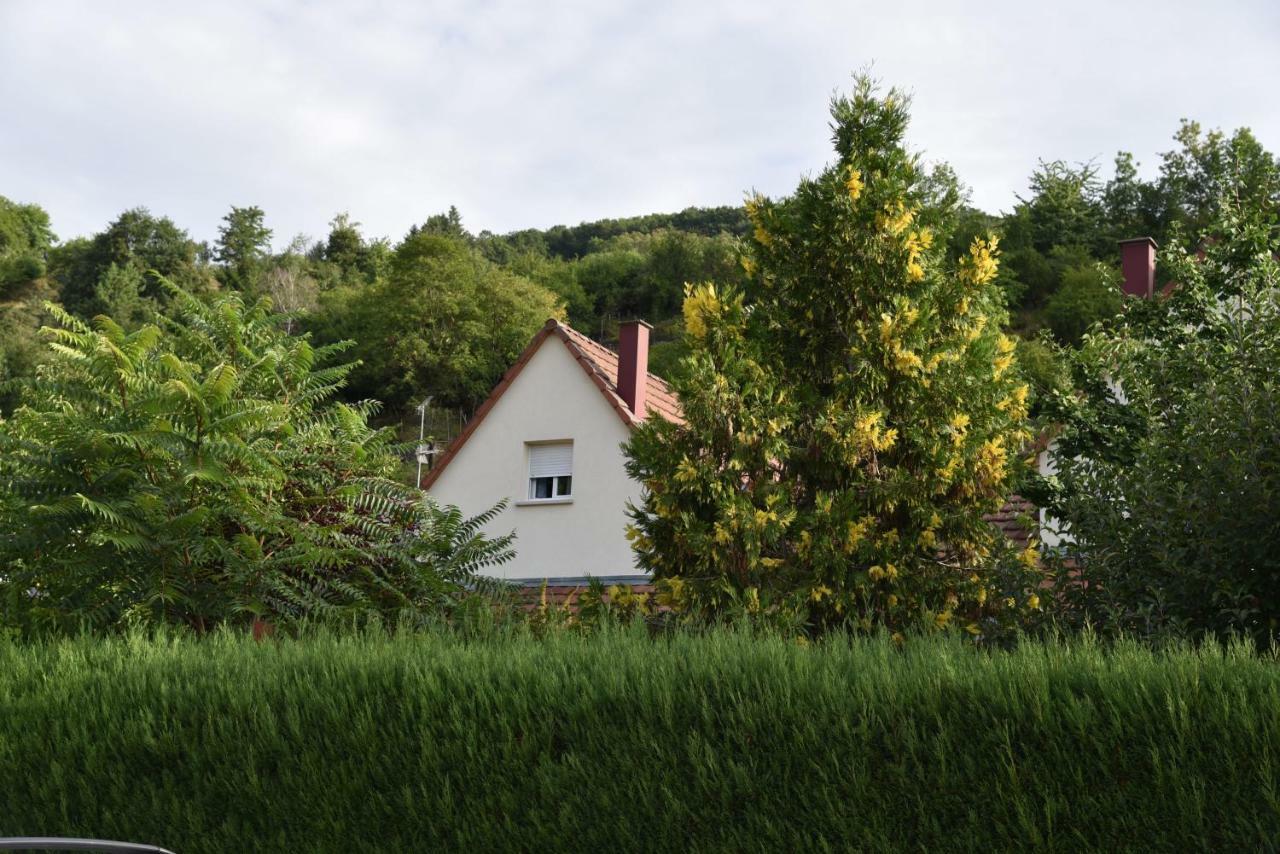 Le Cerisier Villa Kaysersberg-Vignoble Dış mekan fotoğraf