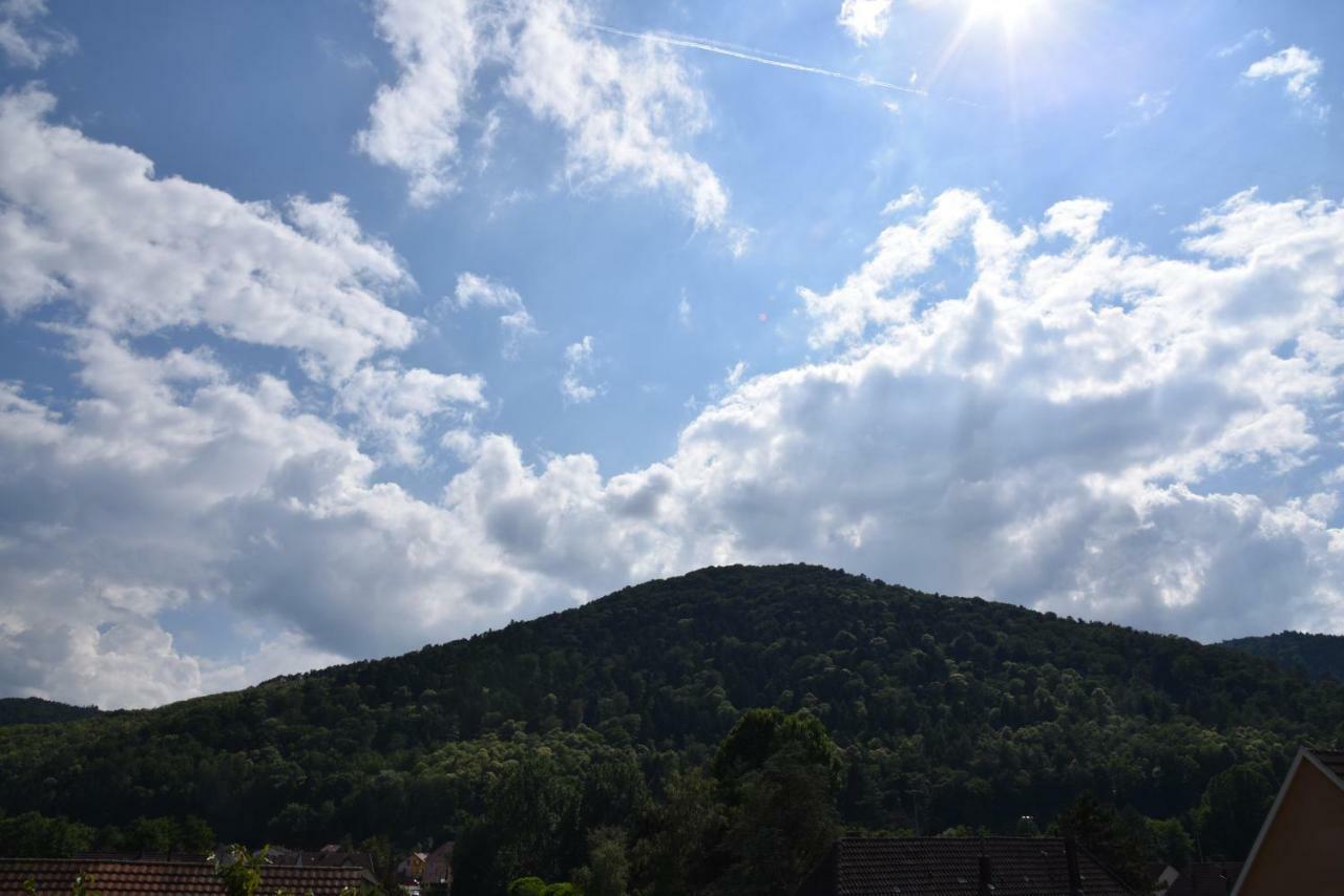 Le Cerisier Villa Kaysersberg-Vignoble Dış mekan fotoğraf